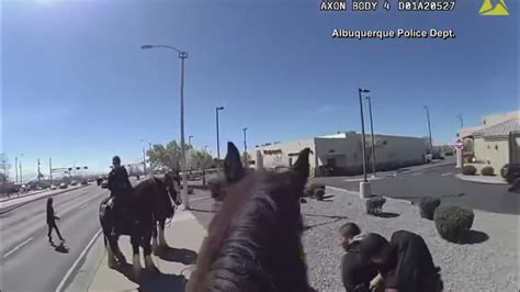 Shoplifter chased by police on horses in New Mexico, video shows.